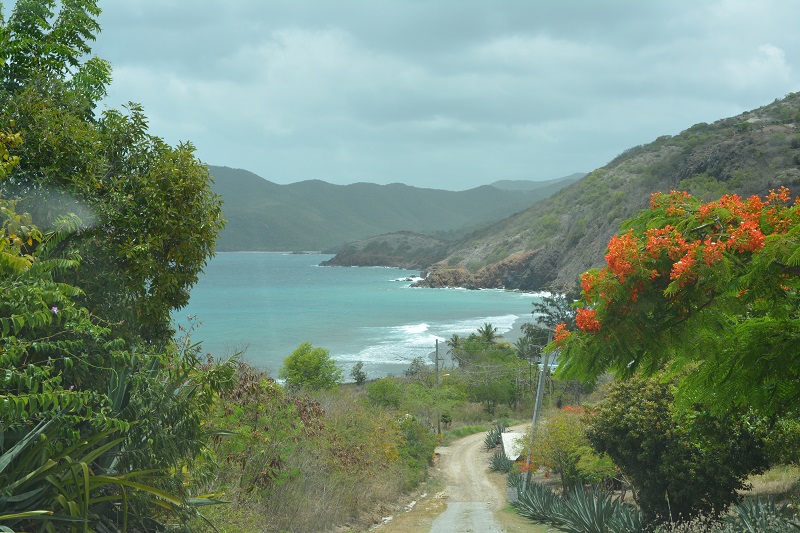 Paradise Properties - Ap Proctor Point Turtle Bay
