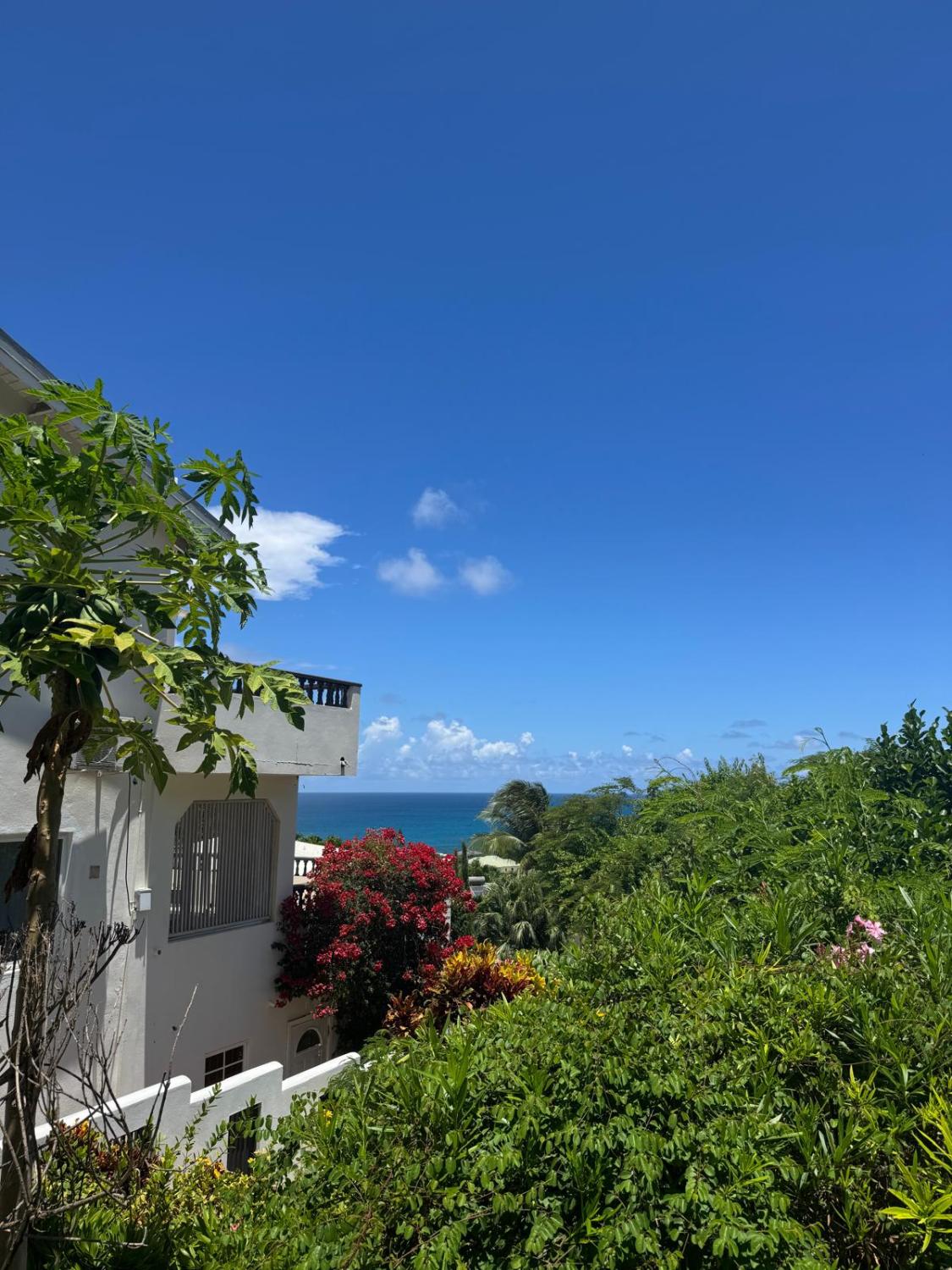 Paradise Properties - Flambeau Villa - Available Now