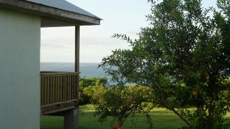 Paradise Properties - Hornet's Nest