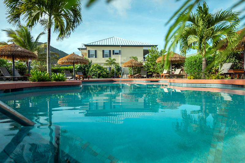 Paradise Properties - Colibri Court  Contemporary